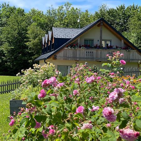 Loft Naturalpina Dolomiti Farm Belluno Buitenkant foto