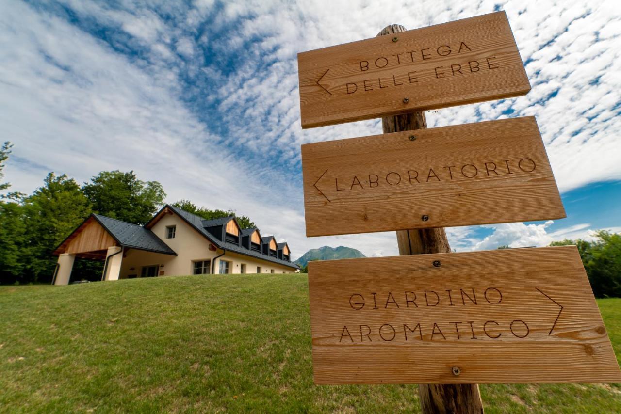 Loft Naturalpina Dolomiti Farm Belluno Buitenkant foto