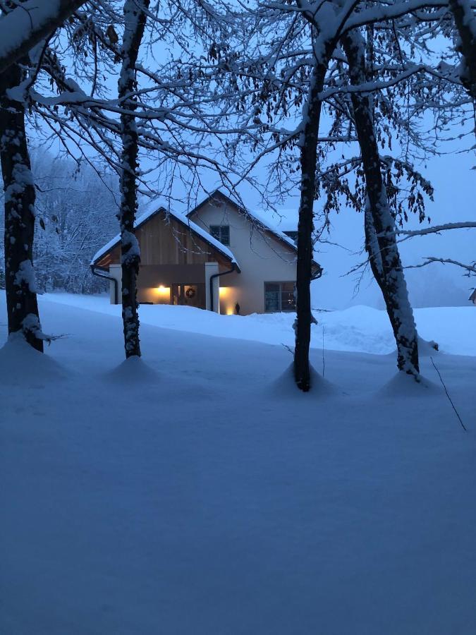 Loft Naturalpina Dolomiti Farm Belluno Buitenkant foto