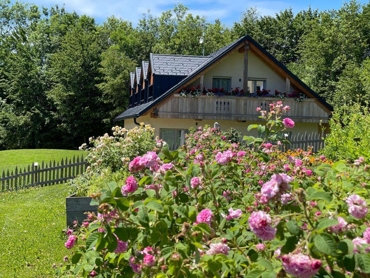 Loft Naturalpina Dolomiti Farm Belluno Buitenkant foto